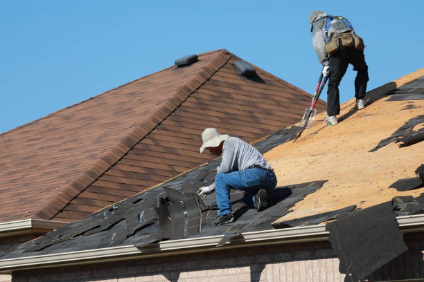 Best Roof Insulation Installation  in Perryton, TX